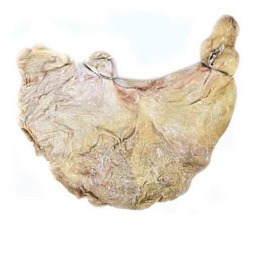 Stomac de porc - 2buc